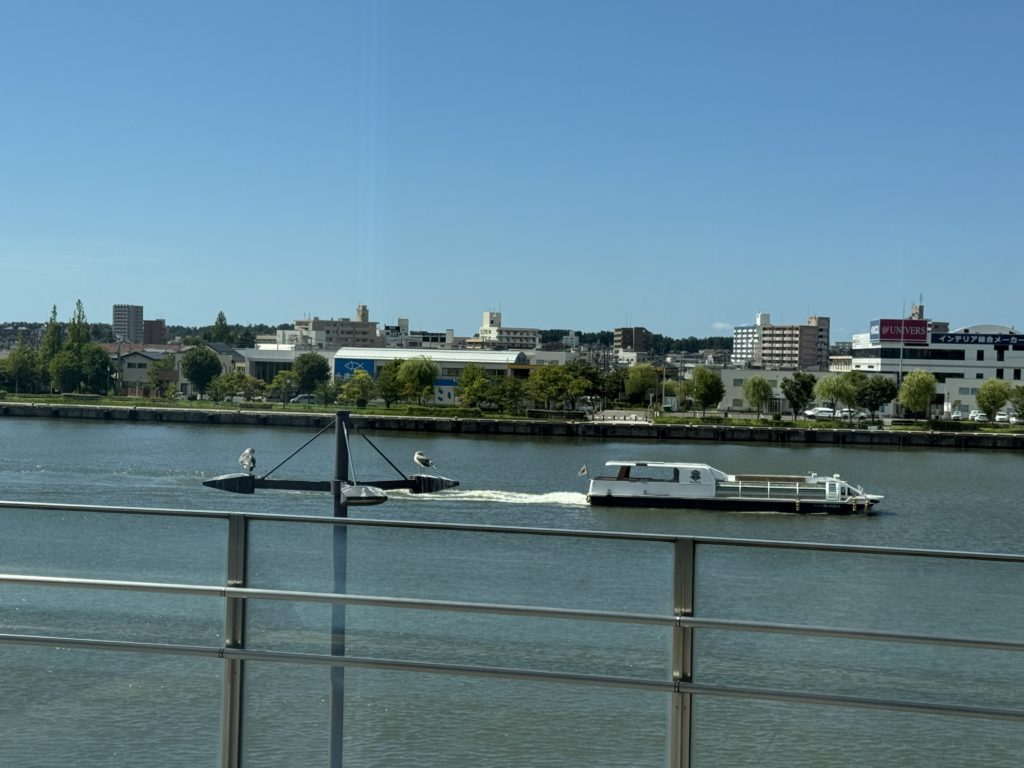 窓の外のかもめ